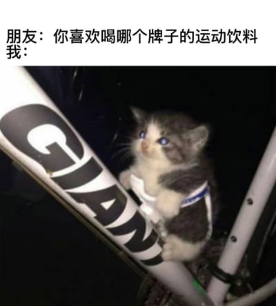 图片上方有文字'朋友：你喜欢喝哪个牌子的运动饮料 我：'，下方是一只可爱的灰白相间小猫，它有着蓝色的眼睛，正坐在自行车的车架上。车架上清晰可见'GIANT'的品牌标志。这张梗图通过视觉双关和谐音梗制造笑点，将自行车品牌'GIANT'与运动饮料品牌'佳得乐'(Gatorade)联系起来，暗示回答者喜欢的运动饮料是'GIANT'。