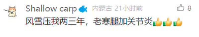 这是一张横版的社交媒体动态截图，左上角配有一个卡通猫咪头像，用户昵称为Shallow carp，动态显示发布地点为内蒙古，发布时间为21小时前，目前获得8个点赞。动态的核心文案为“风雪压我两三年，老寒腿加关节炎”，用户用幽默自嘲的方式，将生活中的压力比作“风雪”，调侃自己在压力之下患上了老寒腿和关节炎，文案末尾还附带了三个点赞表情，传递出一种无奈又自我解嘲的情绪，容易引发有类似生活体验的用户共鸣。