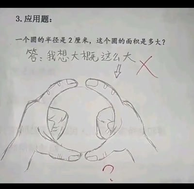 这是一张学生的数学作业纸，页面上方是一道求圆面积的应用题：“一个圆的半径是2厘米，这个圆的面积是多大？”，学生没有运用圆面积计算公式（S=πr²）计算出具体数值答案，而是手写回答“我想大概这么大”，并在回答下方手绘了一双手比出圆形轮廓的图案来示意圆的大小，这个回答被用红色的叉号标记为错误，图案下方还有一个红色的问号，整体呈现出学生用具象、脑洞的方式回答抽象数学题的趣味场景，充满了童真的搞笑感。
