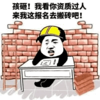 熊猫头戴安全帽招搬砖：资质过人快来报名