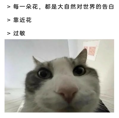 这是一张图文结合的搞笑梗图，上方以三段式文字先营造浪漫氛围，写道“每一朵花，都是大自然对世界的告白”，接着引导“靠近花”，最后突然转折到“过敏”，形成强烈的期待反差；下方搭配一张近距离拍摄的猫咪图片，猫咪眼睛瞪大，表情震惊又带着难受感，用夸张的神态来表现对花过敏后崩溃、难受的状态，精准戳中对花过敏人群的共鸣，通过浪漫期待与现实打击的反差制造搞笑效果。
