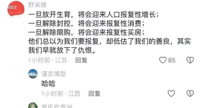这是一段抖音评论区的截图，用户「野吴蜂」发布评论，列举了三个曾被普遍预期的“报复性”社会现象：放开生育后的人口报复性增长、解除封控后的报复性消费、解除限购后的报复性买房，随后用反讽的语气转折，称外界总以为大众要“报复”，实则是低估了大家的“善良”，早已放下“仇恨”，用幽默的方式表达大众当下没有足够意愿和能力去实现这些“报复性”行为。下方用户「谨言慎型」回复“哈哈”，对该评论表示认同与共鸣。
无谐音梗、双关或暗示内容，核心是用反讽调侃当下的人口、消费与房地产现状。