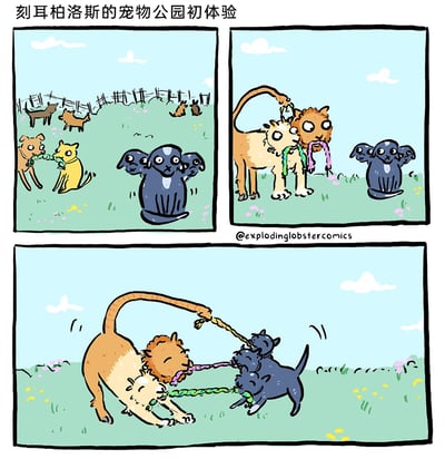 这是一幅充满趣味的连环卡通漫画，讲述希腊神话中的三头犬刻耳柏洛斯来到现代宠物公园的初体验：第一格中，刻耳柏洛斯独自在一旁，看着公园里其他狗狗两两结伴玩拔河游戏，神情略显茫然；第二格中，三只狗狗将身体串联在一起，各自叼着一根拔河绳，看向刻耳柏洛斯，似乎在发出玩耍邀请；第三格中，刻耳柏洛斯的三个头分别咬住三根拔河绳，和这三只连成一体的狗狗展开了一场适配双方“多头/多身”特点的特别拔河比赛，场面诙谐搞笑，将神话角色融入日常宠物场景，制造出独特的反差笑点。