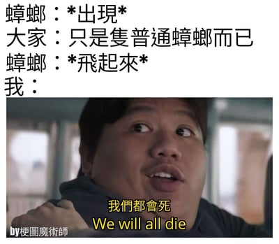 這是一張以「小强」(蟑螂)為主題的搞笑梗圖。上半部分是文字對話：「蟑螂：*出現* 大家：只是隻普通蟑螂而已 蟑螂：*飛起來* 我：」，下半部分是一張電影截圖，圖中男子露出極度驚恐的表情，下方配有字幕「我們都會死 We will all die」，誇張地表達了人們看到蟑螂飛行時的恐懼反應。