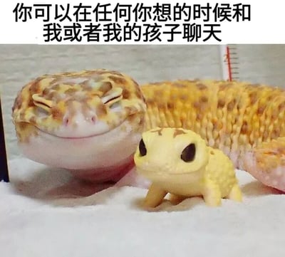 这是一张充满治愈感的趣味梗图，画面中一只真实的豹纹守宫双眼紧闭，嘴角上扬，露出温和的微笑，趴在白色的饲养垫材上；它的旁边是一只造型相似的黄色玩具豹纹守宫，睁着大大的黑眼睛，表情呆萌，被当作了前者的“孩子”。图片上方配有文字“你可以在任何你想的时候和我或者我的孩子聊天”，营造出一种亲切友好、随时愿意倾听的氛围，利用真实宠物与玩具的组合制造出温馨又有趣的反差感，适合用来表达愿意随时陪伴、倾听他人的友好态度，能给人带来轻松治愈的感受。
