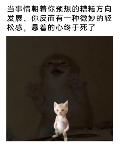 这是一张图文结合的合成梗图，上方配有精准戳中当代人情绪的文字：“当事情朝着你预想的糟糕方向发展，你反而有一种微妙的轻松感，悬着的心终于死了”。图中前景是一只直立站立、表情平静的拟人化3D小猫，背景则是一个愤怒抓狂、双爪拍击墙面的猫咪影子，形成鲜明的视觉反差。这张图生动地诠释了人们在面对预想中的糟糕结果降临时，从之前的焦虑悬心转变为“尘埃落定”的释然放松的复杂心态，用猫咪的形象将这种矛盾又真实的情绪具象化，极易引发当代人的情绪共鸣。