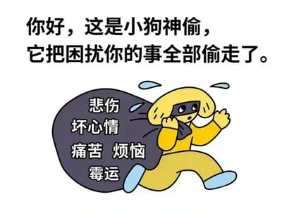 这是一张非常治愈的网络梗图，画面上有一只拟人化、戴着眼罩、装扮成神偷偷偷的小狗，正抱着一个巨大的麻袋偷跑。麻袋上写着“悲伤”“坏心情”“痛苦”“烦恼”“霉运”，暗示它偷走了你的所有烦恼和负能量。

上方配有文字“你好，这是小狗神偷，它把困扰你的事全部偷走了”。画风治愈可爱，适合用来安慰朋友、鼓励自己，传递积极乐观的情绪。

没有明显的双关、谐音梗或暗示性内容，整体气氛正能量且轻松。