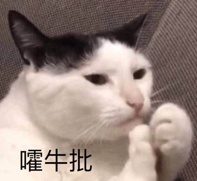 图片中是一只黑白相间的猫咪，正坐在纹理织物背景前（可能是猫窝）。猫咪面部表情平静淡然，两只前爪并拢合十，做出类似作揖的姿势。图片下方配有黑色文字“嚯牛批”，这一 colloquial 表达常用于口语中表示赞叹、惊讶，意为“哇，真厉害”或“太牛了”。整体画面通过猫咪可爱的姿势与接地气的文字结合，营造出轻松幽默的效果，适合用于表达对某事或某人的赞赏。