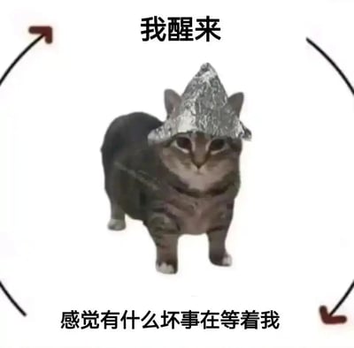 这是一张静态图文混排的表情包，主体是一只戴着锡纸制作的尖顶帽的狸花猫，猫咪表情凝重，眼神警惕，站立的姿态显得有些紧绷。图片上方配有文字“我醒来”，下方配有文字“感觉有什么坏事在等着我”，还有循环箭头环绕画面，整体营造出一种从醒来就被莫名的不安预感笼罩的氛围，精准表达出人们在生活中对未知坏事的忐忑、焦虑情绪，常被用于社交平台抒发这类不安心情。