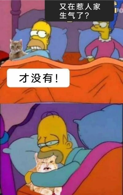 这是一张由两格动画场景拼接而成的搞笑梗图，改编自动画《辛普森一家》的片段。上半部分中，玛姬·辛普森带着质问的表情看向霍默，配文“又在惹人家生气了？”，霍默身旁的猫咪配合着霍默嘴硬回应“才没有！”；下半部分的场景里，霍默抱着那只猫，猫咪露出烦躁生气的表情，直接戳破了霍默的谎言，营造出尴尬又好笑的效果，用来调侃那些嘴硬却被当场抓包的时刻。