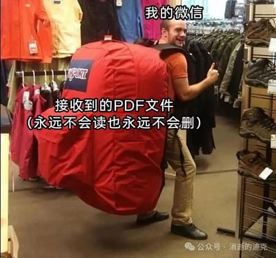这张梗图以超市内一名背着超大红色背包、面带笑容比出大拇指的男子为视觉主体，用夸张的画面来比喻微信中接收的大量PDF文件。图中上方标注文字「我的微信」，背包部分标注「接收到的PDF文件（永远不会读也永远不会删）」，精准吐槽了许多人微信中囤积着大量接收后既不会阅读也舍不得删除的PDF文件的日常状态，通过巨型背包的视觉反差制造出搞笑又充满共鸣的效果。