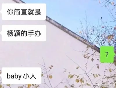 这是一张带有微信聊天气泡的梗图。对话内容用“你简直就是杨笠的手办”、“baby小人”调侃对方，是典型的网络吐槽、恶搞风格。这里“杨笠的手办”双关了对偶像式行为的‘物化’戏谑，“baby小人”则用网络流行表达进一步夸张了“小跟班”的感觉。整体画面简洁，文字为主，背景为蓝天和白墙。