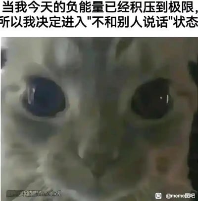 这是一张文字加注类的猫咪表情包，图片主体是一只双眼圆睁、眼神黯淡的猫咪，面部画面略带模糊，神态委屈又低落，完美拟人化了人在负能量积压到极限时的状态。上方配文“当我今天的负能量已经积压到极限，所以我决定进入'不和别人说话'状态”，直接点明了图中所表达的情绪：当负面情绪积累到一定程度，就会产生自我封闭、不想与外界交流的想法，用动物的神态来映射人的情绪，生动又形象，很容易让有过类似情绪体验的人产生共鸣，适合在情绪低落、不想社交时用来表达自己的状态。