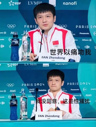 这张图片分为上下两部分，均为中国乒乓球运动员樊振东（FAN Zhendong）出席2024年巴黎奥运会新闻发布会的现场画面。上半部分配文“世界以痛吻我”，下半部分配文“我没同意，这是性骚扰”，以一种幽默的方式表达拒绝被伤害、情感鸡汤无用的新颖态度，调侃了网络流行语。整体语气讽刺，画面富有网络梗图特色，经常被用作表达对无意义苦难/正能量语录的反感。

**双关梗/谐音梗提示**：
“世界以痛吻我”出自网络鸡汤热句，这里以发布会采访形式反转成对“苦难灌鸡汤”说不。
下半句用“这是性骚扰”表达对“被迫受苦正能量”的拒绝，构成反差搞笑。