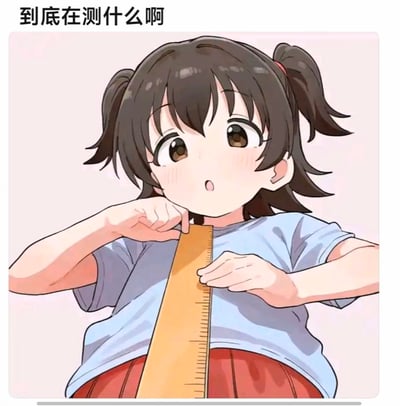 图中是《偶像大师 灰姑娘女孩 U149》里的赤城米莉亚，她扎着双马尾，穿着浅蓝色短袖，双手握着一把直尺，将尺子一端放在胸口下方的位置，脸上露出惊讶疑惑的表情。图片上方配文“到底在测什么啊”，利用视觉错位的效果，让尺子的摆放位置看起来像是在测量奇怪的部位，制造出迷惑又搞笑的笑点，让观众产生“她到底在测什么”的疑惑。