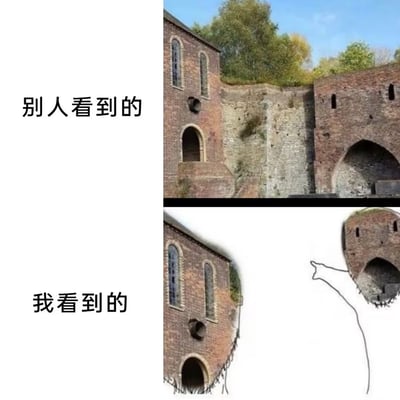 这是一张经典的视觉错觉搞笑梗图。上半部分是城堡遗迹的普通照片，下半部分则把左边部分轮廓描成了一只仰头呐喊的母熊（类似抱着什么东西）。左侧的塔楼圆窗被拟作熊的眼睛，下方门洞作为嘴巴，通过拟人化和错觉营造幽默感。

强调“别人看到的”和“我看到的”对比，表示作者总能在平常建筑中看出奇葩联想，属于视觉脑洞类 meme。

*此图为错位联想，并有典型的“熊形状轮廓梗”特点。*