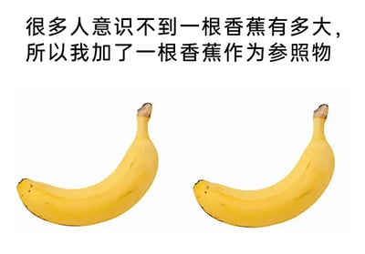 这是一张无厘头风格的搞笑图文梗图，画面上方配有黑色简体中文文字：“很多人意识不到一根香蕉有多大，所以我加了一根香蕉作为参照物”，画面下方的白色背景中，左右并列摆放着两根外观、大小、成熟度几乎完全一致的黄色香蕉，没有其他可用于对比大小的物体。该图通过违背常规逻辑的方式制造笑点：原本添加参照物是为了体现目标物体的尺寸，结果却使用了和目标完全相同的香蕉，完全起不到参照作用，这种荒诞的“无效参照”行为形成了强烈的反差幽默，让人觉得滑稽可笑。