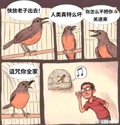 这是一幅四格连环卡通漫画，前三格展示了被关在笼子里的鸟愤怒地咒骂人类：“快放老子出去！”“人类真特么坏”“你怎么不把你🐶关进来”“诅咒你全家”，表现出对被关的强烈不满；第四格剧情反转，原来这只愤怒咒骂的“活鸟”其实是笼子里的标本，旁边的人类正开心地听着鸟叫，形成了强烈的反差感，通过这种反转制造出搞笑的效果，没有双关或谐音梗，单纯靠剧情反差带来喜剧性。