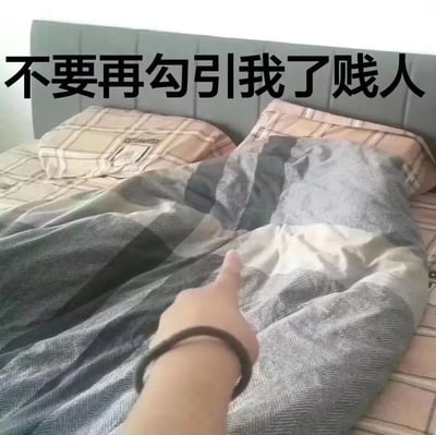 一张幽默梗图，展示了一张铺着格子图案被子的床，一只手正指着床铺。图片上方配有醒目的文字“不要再勾引我了贱人”，通过拟人化的手法，将床比喻成一个诱人的存在，表达了人们面对舒适床铺的诱惑而难以起床的无奈又搞笑的心情。这种表达方式常见于描述起床困难症的场景，用夸张的语气增强了喜剧效果。