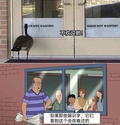 这是一张上下拼接的搞笑梗图，上半部分是现实拍摄场景：一只鹅站在玻璃门前，门的玻璃上贴着英文告示“GEESE NOT WANTED!”，并配有中文翻译“不欢迎鹅！”；下半部分是动画截图，来自《乡巴佬希尔一家的幸福生活》，角色汉克·希尔手持卷状纸张、单手叉腰站在窗边，对着窗内的孩子和其他人认真吐槽道“如果那些鹅识字，它们看到这个会很难过的”。整张图通过将现实中无用的告示和动画角色的共情式吐槽结合，制造出荒诞的幽默效果，吐槽了这类对目标对象完全无效的告示的无意义性。