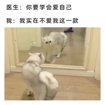 这是一张自嘲向的趣味梗图，上方配有两段文字对话：医生说“你要学会爱自己”，“我”回应“我实在不爱我这一款”；下方的图片是一只灰白相间的猫咪正对着镜子，看到镜子里的自己时露出惊讶、嫌弃的神态，身体姿态也显得抗拒，仿佛无法接受镜子里的自己，完美呼应了文字里对自我不满、难以接纳自身的情绪，用可爱的猫咪画面来表达自我嫌弃的心情，既幽默又精准戳中当代人自我接纳的困境。