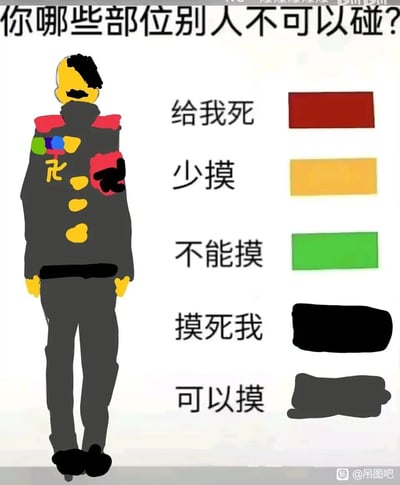 这是一张趣味互动类图文混排梗图，顶部以“你哪些部位别人不可以碰？”作为提问，左侧是一个卡通化的军装造型人物，右侧用五种不同颜色的色块对应五个触摸权限等级，分别为红色对应“给我死”、黄色对应“少摸”、绿色对应“不能摸”、黑色对应“摸死我”、灰色对应“可以摸”，并将这些颜色分别标注在人物的对应身体部位，以此幽默化地展示不同身体部位对他人触摸的接受程度，风格搞怪，属于网络上流行的身体边界感趣味延伸创作。