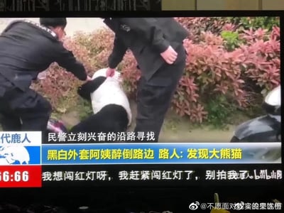 电视新闻截图中，两名身着深色制服的民警正在搀扶一名身穿黑白相间外套的阿姨。阿姨醉倒在路边的花丛旁，因外套颜色被路人戏称为“发现大熊猫”，引发民警“兴奋地沿路寻找”。画面底部的新闻字幕清晰显示这一乌龙事件，而左下角的“6:66” timestamp明显为夸张编辑的 meme 元素，增添了搞笑效果。