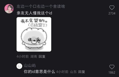 这是一张来自国内社交平台评论区的截图，一位IP地址在湖南的匿名网友发布评论，询问由“口”和“舍”组成的字的读音，同时吐槽身边亲友都无法理解自己使用这个字作为ID的含义，为了烘托自己的小委屈情绪，还搭配了一张网络流行的软萌卡通表情包，表情包中的卡通形象眼眶含泪，配文“我不会哭的。(已经哭了)”，精准表达了嘴硬却委屈的心情。该评论获得了2734个点赞，4小时后，IP地址在山东的用户“山山屿”回复该评论，询问这个ID的具体含义，这条回复获得了1862个点赞。