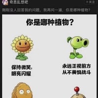 豌豆射手