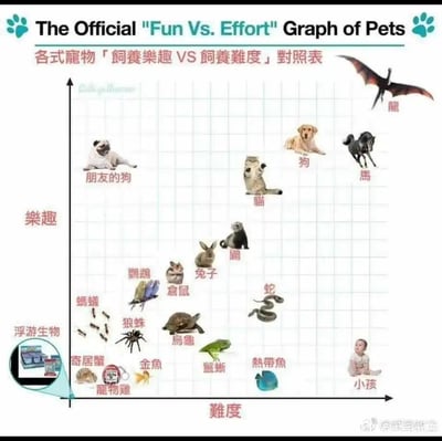 这是一张趣味化的二维象限对比图，以「饲养乐趣」为纵轴（越向上代表饲养乐趣越高），「饲养难度」为横轴（越向右代表饲养难度越高），将各类常见宠物、小众宠物，以及带有调侃性质的特殊「饲养对象」（包括虚构的龙、被趣味归类的小孩）放置在对应乐趣与难度匹配的坐标位置，以此幽默呈现不同饲养对象的体验差异：比如「朋友的狗」处于高乐趣、极低难度的位置，暗指仅需享受互动无需承担饲养责任；「龙」作为虚构代表被放在乐趣最高、难度也最高的极端位置；「小孩」被调侃为难度最高、乐趣较低的「饲养对象」；而浮游生物、寄居蟹等则是乐趣和难度都极低的选项，整体用轻松搞笑的方式调侃饲养不同对象的真实体验，兼具趣味性与话题性。