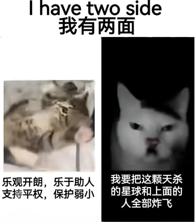 这是一张左右对比的梗图，上方标题为"I have two side 我有两面"。左侧是一只模糊的橘猫图片，下方配有文字"乐观开朗，乐于助人 支持平权，保护弱小"；右侧是一只表情凶狠的白猫图片，背景为黑色，下方配有文字"我要把这颗天杀的星球和上面的人全部炸飞"。通过两只猫咪的表情和配文形成强烈反差，展现了人们内心的双面性。
