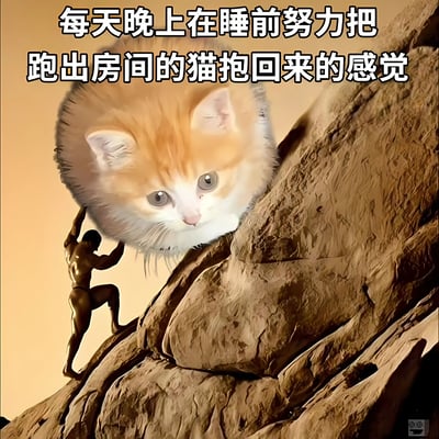 图片通过幽默的合成手法，将经典攀岩场景中的岩石顶部替换成一只巨大的橘猫头部，下方有一位肌肉发达的攀岩者正奋力向上攀爬。上方文字'每天晚上在睡前努力把跑出房间的猫抱回来的感觉'点明主题，用攀岩的艰辛来夸张比喻铲屎官每晚抓回逃跑猫咪的费力过程，形成强烈的搞笑对比，引发宠物主人共鸣。