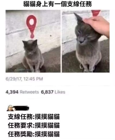 这是一张左右对比的社交媒体梗图，左侧是头顶被P上游戏任务红色感叹号的灰猫，猫咪低头看起来有些低落；右侧是这只灰猫被人摸头时眯起眼睛、一脸享受的样子。图中用游戏支线任务的格式包装了摸猫这件事：支线任务、任务要求、任务奖励全都是「摸摸猫猫」，用游戏化的方式把简单的撸猫行为变得充满仪式感，治愈又搞笑，精准戳中喜欢撸猫和玩游戏的用户的喜好。