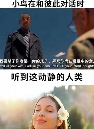 这是一张上下对比的双格梗图，通过幽默的反差展现想象中的小鸟对话与人类感知的差异。上半部分标题为“小鸟在和彼此对话时”，画面中一名穿深色大衣、系条纹领带的男子正对另一个人说出极具攻击性的台词：“我要杀了你老婆，你的儿子，弄死你尚在襁褓中的女儿”（下方配有英文翻译），表情严肃，背景是晴朗的蓝天；下半部分标题为“听到这动静的人类”，画面中一名金发女子头戴白色花朵，闭眼微笑，沉浸在阳光明媚的自然环境中，显得十分惬意。图片通过将小鸟拟人化的激烈对话与人类实际听到鸟鸣时的愉悦感受进行对比，制造出荒诞又搞笑的效果。