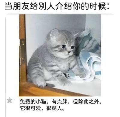 图片上方配有文字'当朋友给别人介绍你的时候：'，中间是一只灰色带有条纹的小猫，它坐在角落，眼睛又大又圆，看起来呆萌可爱，身体略显胖乎乎。图片下方文字为'免费的小猫，有点胖，但除此之外，它很可爱，很黏人。'。整体通过将朋友介绍自己的场景类比为推销一只虽有点胖但可爱黏人的免费小猫，营造出幽默搞笑的氛围，让人产生共鸣。