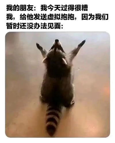 这是一张暖心的图文混排表情包，上方用文字交代了场景：朋友倾诉自己今天过得很糟糕，由于双方暂时没办法线下见面，所以发送这张图来传递虚拟抱抱的安慰。下方的图片是一只小浣熊背对着镜头，双臂高高举起，仰头的姿态看起来像是在敞开怀抱，用这种可爱治愈的动物动作来替代真实的拥抱，既贴合无法见面的情境，又能传递温暖的关怀，很适合在亲友失意时用来表达安慰。