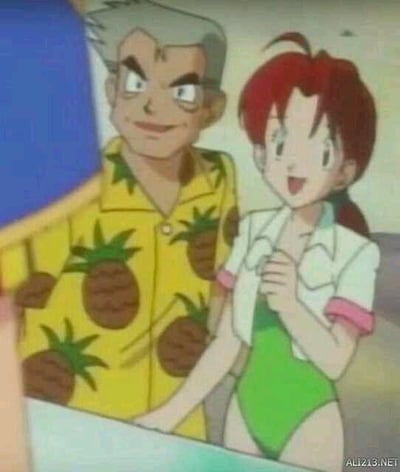 这是一张《宝可梦》系列动画的截图，画面中左侧是穿着印满菠萝图案黄色花衬衫的大木博士，他脸上带着一丝玩味的微笑；右侧是小智的妈妈花子，她穿着绿色连体泳衣，外搭白色短袖外套，手放在胸前，脸上露出开心兴奋的神情。这张图在宝可梦粉丝圈中是经典的同人梗素材，粉丝们结合动画中的一些细节，用这张图来暗示大木博士和花子之间存在特殊的亲密关系，属于粉丝对剧情的趣味二次解读，并无官方剧情的实锤。