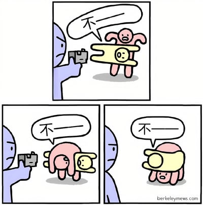 三格漫画展示了一个蓝色角色拿着相机想要给粉色角色拍照，而粉色角色抱着一个黄色物体连连后退拒绝的场景。每一格中粉色角色都说着'不——'，表现出明显的抗拒情绪。