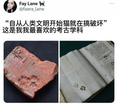 社交媒体用户Fay Lane发布的趣味内容，配文称“自从人类文明开始猫就在搞破坏 这是我最喜欢的考古学科”。下方左右排列两张图片：左侧为一块心形陶片，表面清晰印着猫爪印；右侧是一本古老的手写古籍，书页上有多枚猫爪印，部分字迹被爪印模糊。通过将猫爪印与考古文物结合，幽默调侃猫咪从古至今的“破坏天性”，暗喻猫科动物对人类文明记录的“历史性干扰”。