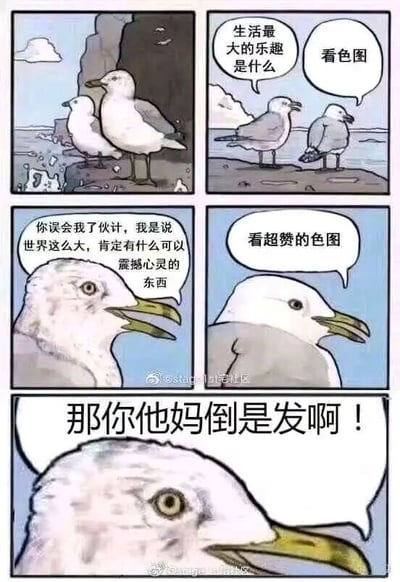 这是一组由五格画面组成的静态连环漫画，以海边的两只海鸥为角色展开趣味对话。第一格展示两只海鸥站在海边岩石上的场景；第二格中，一只海鸥向另一只提问“生活最大的乐趣是什么”，对方直白回答“看色图”；第三格提问的海鸥试图纠正方向，解释自己说的是“世界这么大，肯定有什么可以震撼心灵的东西”；第四格回答的海鸥依旧坚持“看超赞的色图”；最后一格中，提问的海鸥彻底爆发，愤怒地喊出“那你他妈倒是发啊！”。漫画用反差感制造幽默，将期待中的“震撼心灵的事物”拉回低俗趣味的调侃，最后爆发的情绪精准戳中了网友日常求资源时的共鸣点，充满网络段子的搞笑风格。