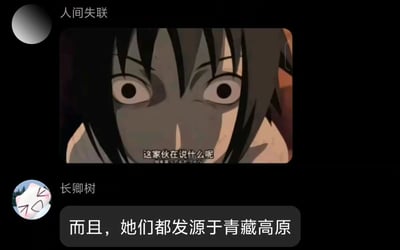 这是一张社交聊天记录截图，用户「人间失联」发出《火影忍者》中宇智波佐助「这家伙在说什么呢」的经典疑惑表情包，用户「长卿树」紧接着说出一句让人摸不着头脑的话「而且，她们都发源于青藏高原」，用佐助震惊疑惑的表情来对应这句离谱发言，精准传达了对无厘头言论的困惑与吐槽，是典型的梗图二次创作。