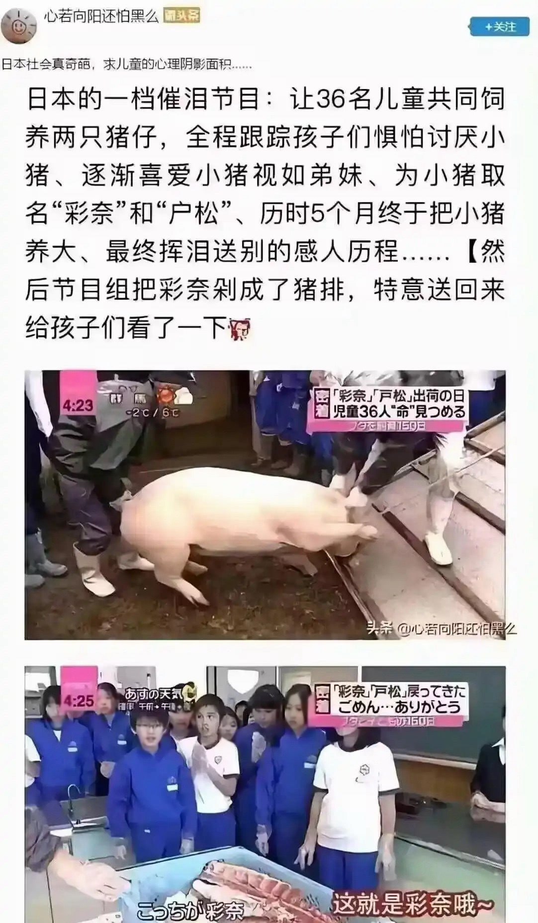 日本该档催泪综艺节目封面