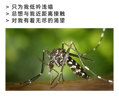 这是一张图文混排的趣味吐槽图，上方以三行充满浪漫氛围感的拟人化文案，用“只为我低吟浅唱”“总想与我近距离接触”“对我有着无尽的渴望”这类看似深情的表述，反向调侃蚊子的骚扰行为；下方是一张实拍图，展示了带有黑白斑纹的白纹伊蚊停留在人的皮肤上，正准备吸血的场景，完美对应了文案描述的内容。整张图用反差感的浪漫话术，诙谐地吐槽夏日被蚊子叮咬的烦恼，通过趣味化的表达引发大众共鸣。