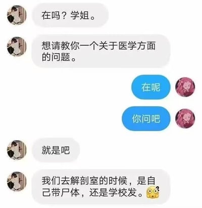 这是一张聊天记录静态截图，内容是一名想要学习医学的学弟/学妹向学姐请教问题。对话开篇，提问者先询问学姐是否在线，并说明要请教医学相关问题，学姐回应可以提问后，提问者抛出了一个完全脱离常识的无厘头问题：去解剖室的时候，是自己带尸体，还是学校发，还搭配了一个疑惑的小黄脸表情。这个问题的笑点在于，医学解剖所用的尸体都是由学校统一提供的，提问者的提问完全不了解医学解剖的基本常识，用荒诞的疑问制造出搞笑的效果，图中没有双关、谐音梗或暗示内容。对于这个问题的回答是：解剖用的尸体都是学校统一提供的，不需要自己准备。