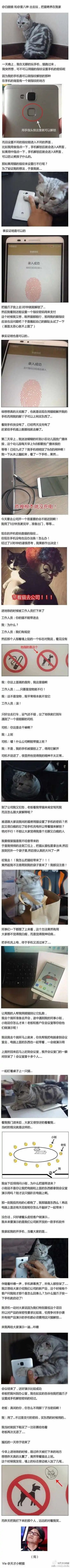 这是一篇超长图文帖，讲述了主人帮朋友@白娘娘和@里八神 寄养猫咪时，突发奇想用猫的指纹设置手机解锁和支付密码，结果手机没电关机后，必须用猫的指纹才能开机，从而引发的一系列社死事件：带猫上班被地铁工作人员阻拦，打车被司机误解，到公司后猫意外出现在会议室，最后只能用猫爪解锁手机演示产品，反而获得客户认可，下班时还发现地铁的禁宠标识被人改成了禁猫的搞笑故事。整个故事充满巧合和笑点，展现了一个因新奇尝试引发的连锁趣事。