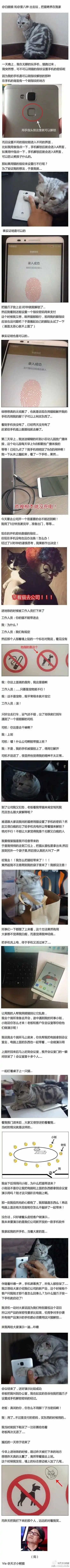 公司同事