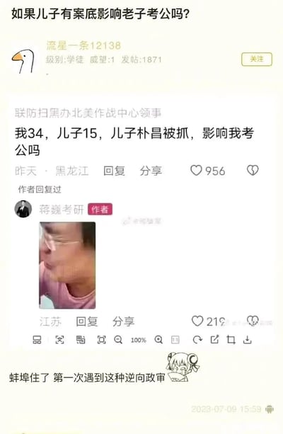 这是一张社交媒体论坛的截图，顶部是帖子标题“如果儿子有案底影响老子考公吗？”，用户“联防扫黑办北美作战中心领事”回复提问，称自己34岁，儿子15岁，儿子因“朴昌”（谐音嫖娼）被抓，询问是否影响自己考公务员，该回复获得956个点赞。作者“蒋巍考研”用一张人物捂脸哭笑不得的表情包回复，该回复获得212个点赞。截图底部还有评论“蚌埠住了 第一次遇到这种逆向政审”，调侃这个提问是反过来的政审情况，整体是一个利用谐音梗和逆向逻辑制造笑点的搞笑帖子，“朴昌”的谐音玩梗增加了趣味性，而“逆向政审”的评论点出了这个提问的荒诞之处——通常是父母案底影响子女考公，这里的情况完全相反。