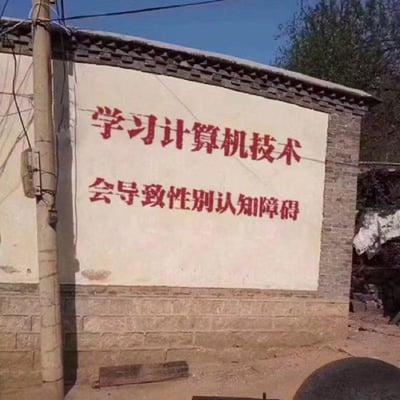 这是一张拍摄自户外的图片，画面主体是一面由砖石砌成的围墙，墙面上用醒目的红色字体喷涂了两行标语：“学习计算机技术 会导致性别认知障碍”。这是完全不符合科学逻辑的恶搞内容，现实中学习计算机技术与性别认知障碍没有任何因果关联，创作者通过这种无厘头的、反差感强烈的虚假标语来制造笑料，调侃计算机行业相关的刻板印象，属于趣味玩梗的创作。