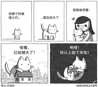 这是一幅五格黑白漫画，讲述了一只猫从小到大不断成长的有趣故事。第一格中是一只小猫，配文'你那个时候很小只...'；第二格中猫长大了一些，配文'...现在你大了'；第三格中一个女人抱着猫，配文'但我依然爱-'；第四格中猫变得巨大，趴在一座房子上，配文'哇喔，已经够大了！'；第五格中猫在太空中抱着地球，配文'啊喂！快从上面下来啦！'。漫画通过夸张的手法展现了猫咪在主人眼中不断变大的幽默过程。
