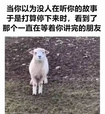 图片上方为黑色文字，内容是“当你以为没人在听你的故事于是打算停下来时，看到了那个一直在等着你讲完的朋友”。文字下方是一张照片，画面中一只白色的小羊站在长满短草和些许泥土的地面上，小羊面向镜头，眼神平静，姿态自然。整体通过文字与动物形象结合，传达出友情中默默倾听与支持的温暖主题。